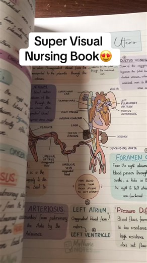 Essential Tips for NCLEX Exam Success