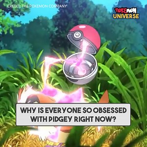 94K views · 488 reactions | The original route one bird Pokémon deserves some love! | Pokemon-Go | Facebook