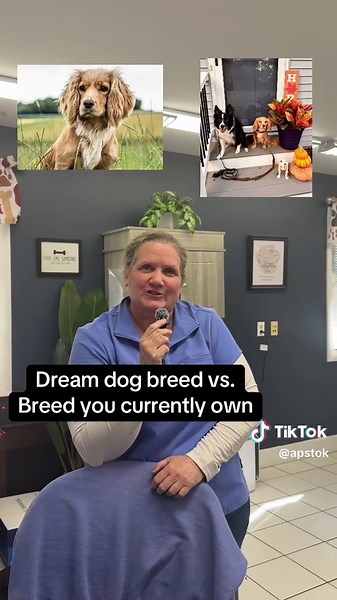 Dream Dog Breeds vs. Current Pets at APS Staff
