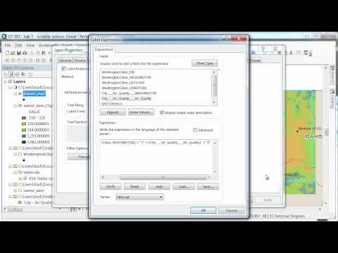 ArcGIS 10 - ArcMap - Labeling with multiple values