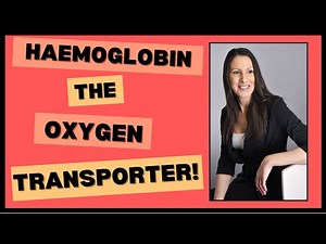 🩸 Hemoglobin Structure EXPLAINED! | How Your Blood Transports Oxygen 🧬