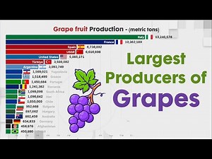LARGEST PRODUCERS OF GRAPE FRUIT IN THE WORLD