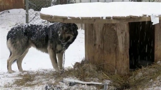 ASPCA Giving Tuesday TV Spot, 'You Have the Power: 1,000 New Donors Needed' Featuring Edie Falco