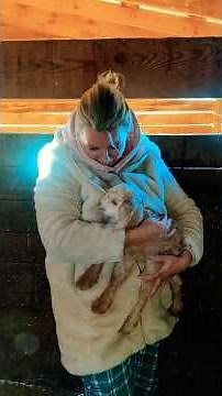 Look What We Found in the Pasture This Morning🐐✨