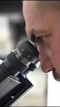 What Is Pathology? | The Basics of Medical Pathology Explained