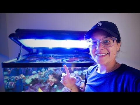 Revealing My Secret Light Schedule