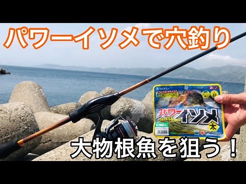 【穴釣り】パワーイソメとジグヘッドの穴釣りが楽しすぎる