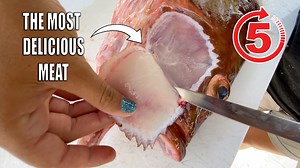 18K views · 1.4K reactions | HOW TO FILLET GROUPER CHEEKS - Learning...