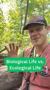 1.1K views · 29 reactions | What is a tree’s “ecological life?” I...