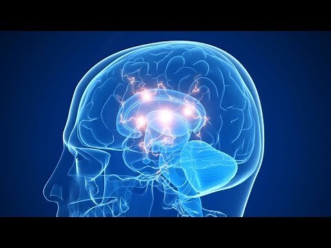 Diagnosing Learning Disabilities in Adults @ The Brain Clinic