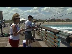 Floridians approve two new amendments to the state constitution