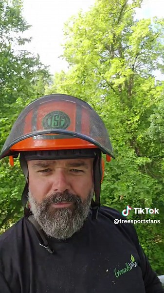 Rotten Lime Tree Care and Removal Guide