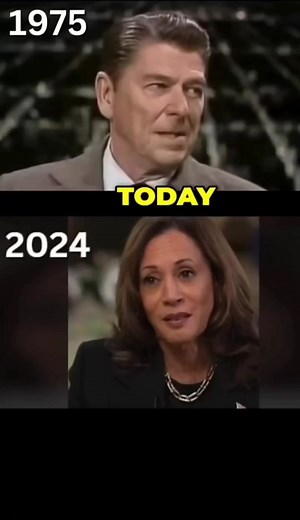 2.7M views · 24K reactions |  100% of taxes on American businesses are paid by the American people through product cost and trickle-down economic impact. Vs. Tariffs become a shared cost between foreign producers and THEIR customers specifically. This simultaneously supports American economic growth versus foreign by allowing American companies to be more competitive and making America more attractive for investment. #RonaldReagan #Trump #politics | The Cook | Facebook