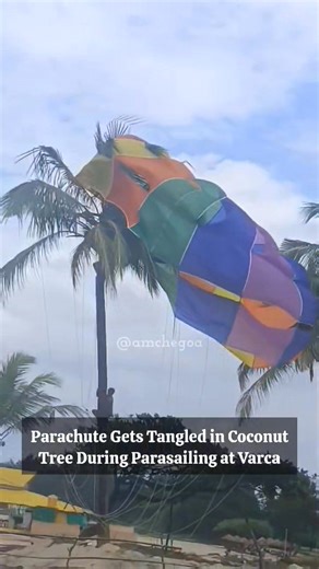 Scary Moment at Varca Beach!⚠️ A parasailing adventure took a scary turn when a parachute got tangled in a coconut tree 🌴. Shockingly, the activities continued even after the incident, raising serious safety concerns. 🪂 | Amche Goa