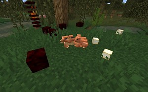 What do frogs eat in Minecraft