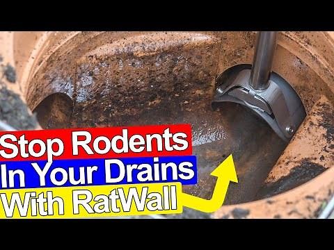 STOP RATS GETTING IN YOUR DRAINS AND HOUSE - Ratwall