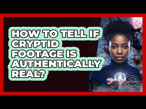 How To Tell If Cryptid Footage Is Authentically Real?
