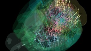 In groundbreaking study, researchers publish brain map showing how decisions are made | CNN