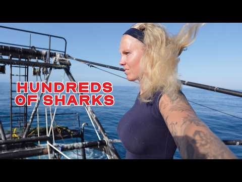 Don’t Do This Job If You’re Afraid of Sharks...