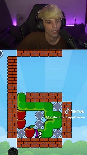 Explore the Challenges of Snake Puzzle Gameplay