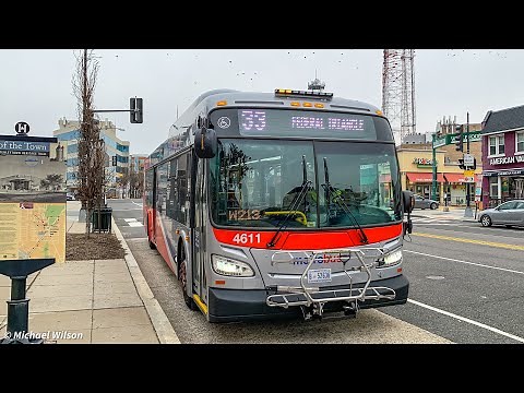 WMATA Metrobus NEW!!! 2022 New Flyer Xcelsior XD40 #4606 & 4611
