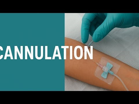 How we Learn Master Cannulation Step-by-Step | IV Cannula Insertion Nursing