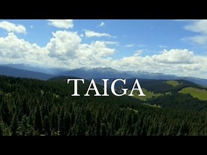 TAIGA BIOME | BIOMES OF THE WORLD | NATURE | LANDSCAPE