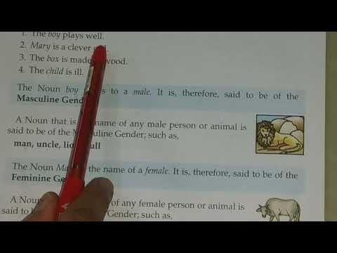 Primary School English Grammar & Composition - Wren & Martin-Unit 1- Nouns - Chapter 4 - Gender