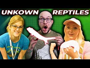 Snake Discovery Reveals UNDISCOVERED Reptile Species!