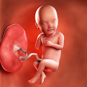 Week 33 of Pregnancy