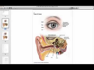 HESI A2 Anatomy and Physiology Study Guide - Free HESI A2 Practice Test
