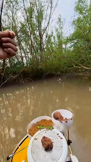 Săn Ái Phi #câu #cauca #cá #fishing #fish #sanhang #caphi #caucathugian #fishinglife | CÂU CÁ