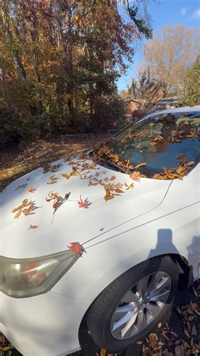 19 reactions · 4 comments | My in-church accumulation | Stephanie Smith Hutton | Facebook