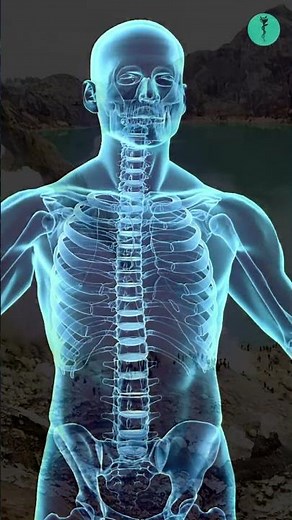 🌋 Zeolite Benefits You NEED to Know for Detox and Immunity 🌋