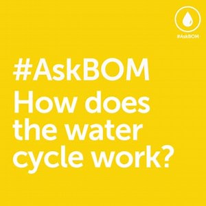 8.1K views · 88 reactions | What do clouds ️, the air, the oceans , lakes, vegetation  and glaciers all have in common? The water cycle! The water cycle, also known as the hydrologic cycle, involves the continuous flow of water between the Earth and the atmosphere. This process is essential to our life on Earth! So, make sure you join us on our social channels this week as our AskBOM series dives into the world of water! | Bureau of Meteorology | Facebook