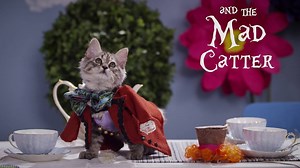 4.5M views · 656 reactions | It's time fur a little madness. This...