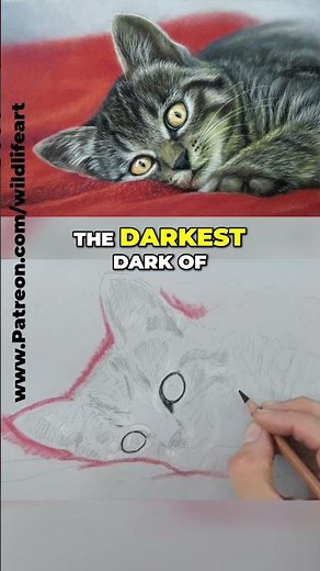 Mastering Tonal Value: Key to Realistic Drawings!