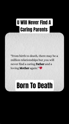 Everyone Understand This Quotes|Love Always Your Parents |Born To Death |#success #Born #focus #love