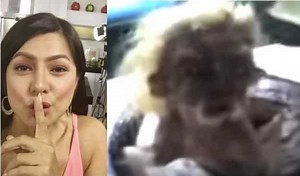 Alice Dixson finally speaks up on the snake man in Robinson's Galleria