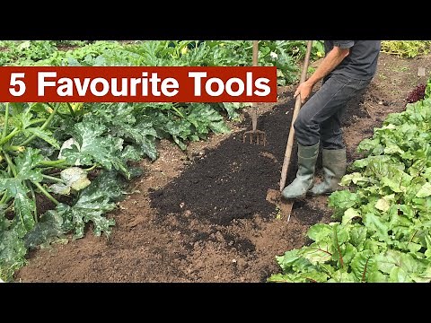 My 5 Favourite Tools in the Garden