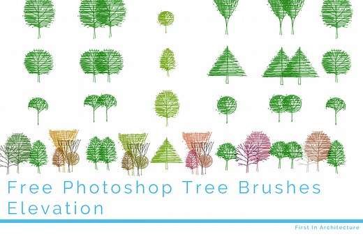 Free Photoshop Tree Elevation Brushes
