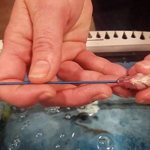 11K views · 58 reactions | Rig your bait better with Hook Line & Threader! Www.hooklineandthreader.com | Hook Line & Threader | Facebook