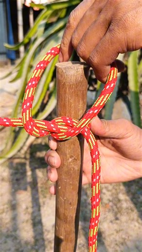 Best Knot in the World!!!