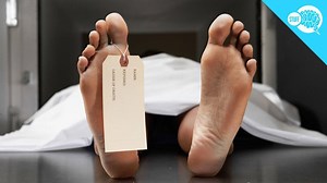 How Is An Autopsy Performed? | Howstuffworks