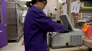 Automated, High-Throughput Detection of Bacterial Adherence to Host Cells