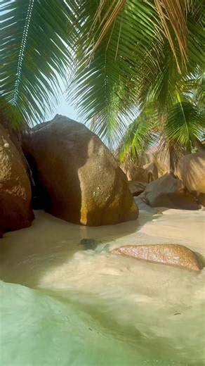 Seychelles beach vibes: tropical path guide