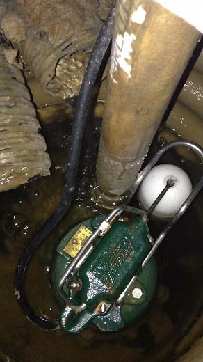 Working Sump Pump