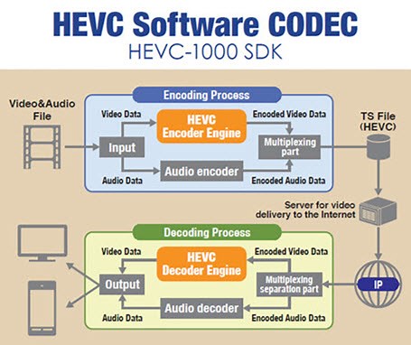 H.265 (HEVC) vs H.264 (AVC): Compare Quality, File Size, Bitrate