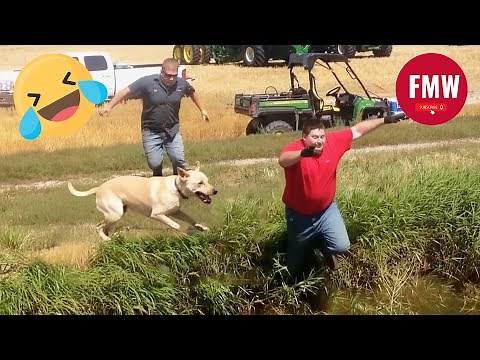 Try Not To Laugh 🤣 Top 100 Funniest Videos Ever 😂 | Funny Videos Compilation 2025 #1