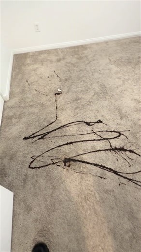 Deep Carpet Cleaning Challenge: Removing Stubborn Sauce Stains